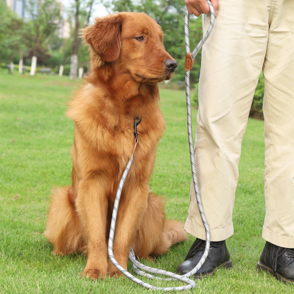 PawPilot Reflective Hands-Free Dog Leash