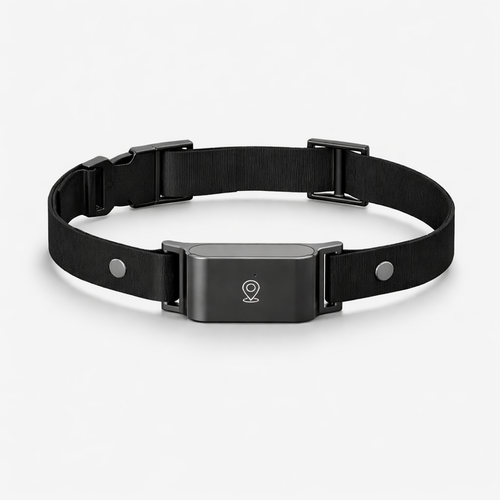 PawPilot GPS Tracker Collar for Dogs & Cats