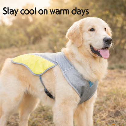 PawPilot Cooling Vest for Dogs