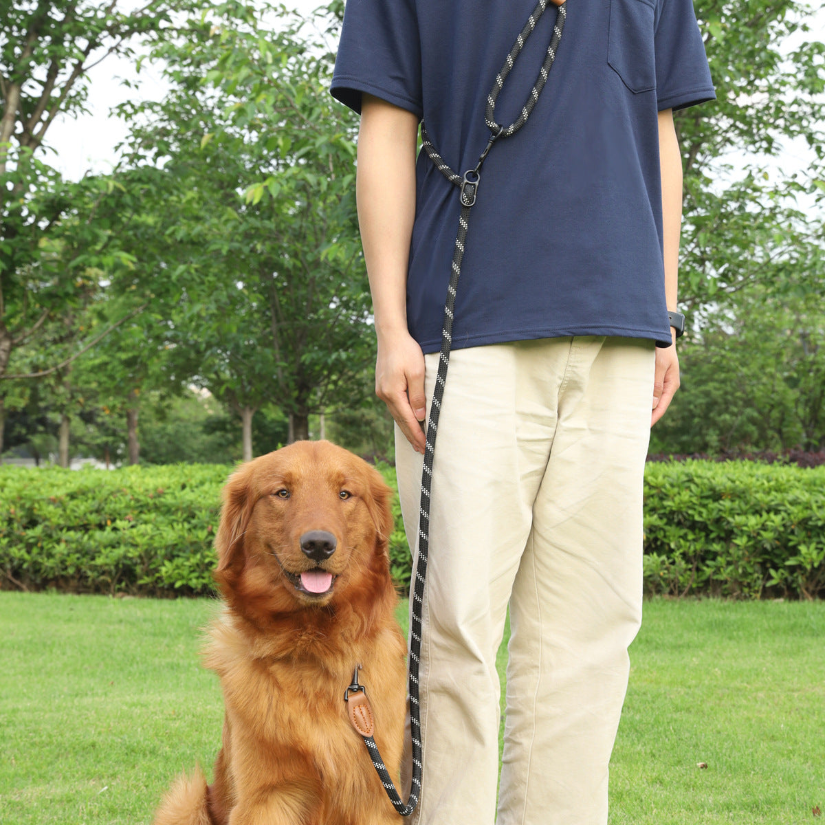 PawPilot Reflective Hands-Free Dog Leash