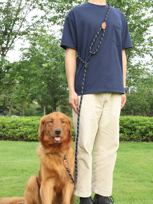 PawPilot Reflective Hands-Free Dog Leash
