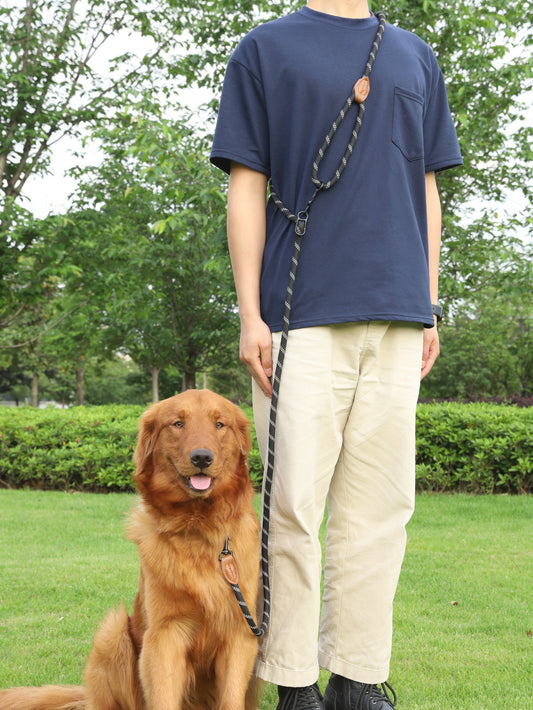 PawPilot Reflective Hands-Free Dog Leash